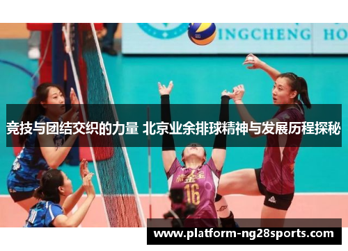 竞技与团结交织的力量 北京业余排球精神与发展历程探秘