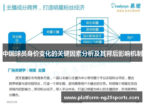中国球员身价变化的关键因素分析及其背后影响机制
