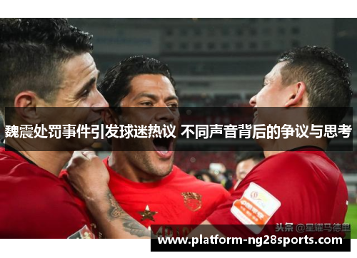 魏震处罚事件引发球迷热议 不同声音背后的争议与思考