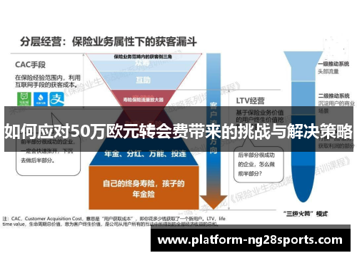 如何应对50万欧元转会费带来的挑战与解决策略