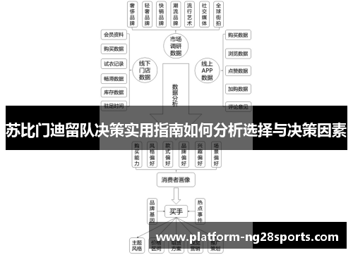 苏比门迪留队决策实用指南如何分析选择与决策因素