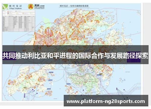 共同推动利比亚和平进程的国际合作与发展路径探索