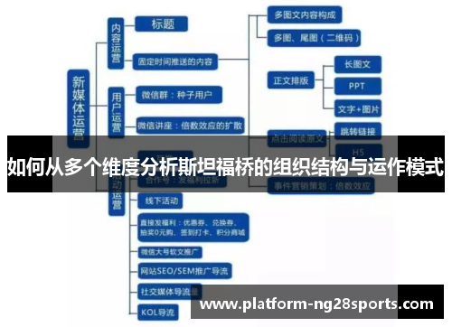 如何从多个维度分析斯坦福桥的组织结构与运作模式