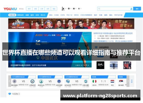 世界杯直播在哪些频道可以观看详细指南与推荐平台